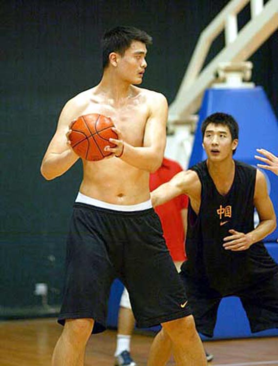 宁的组合是