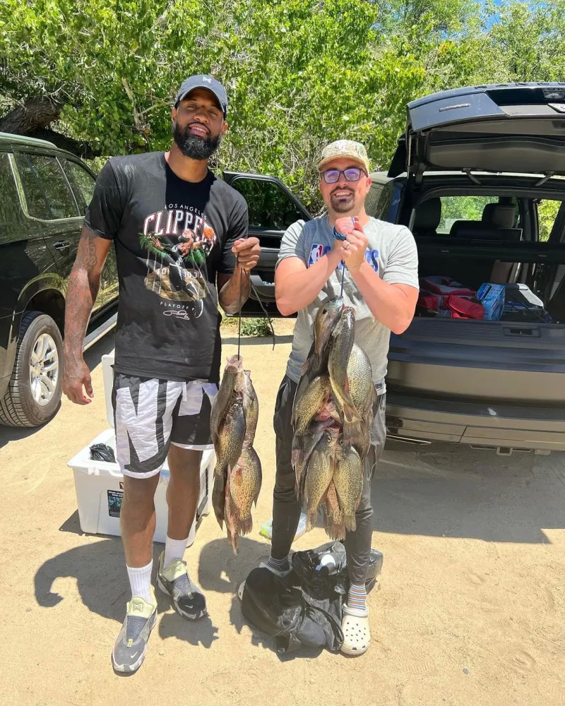 在中场提供 在中场提供