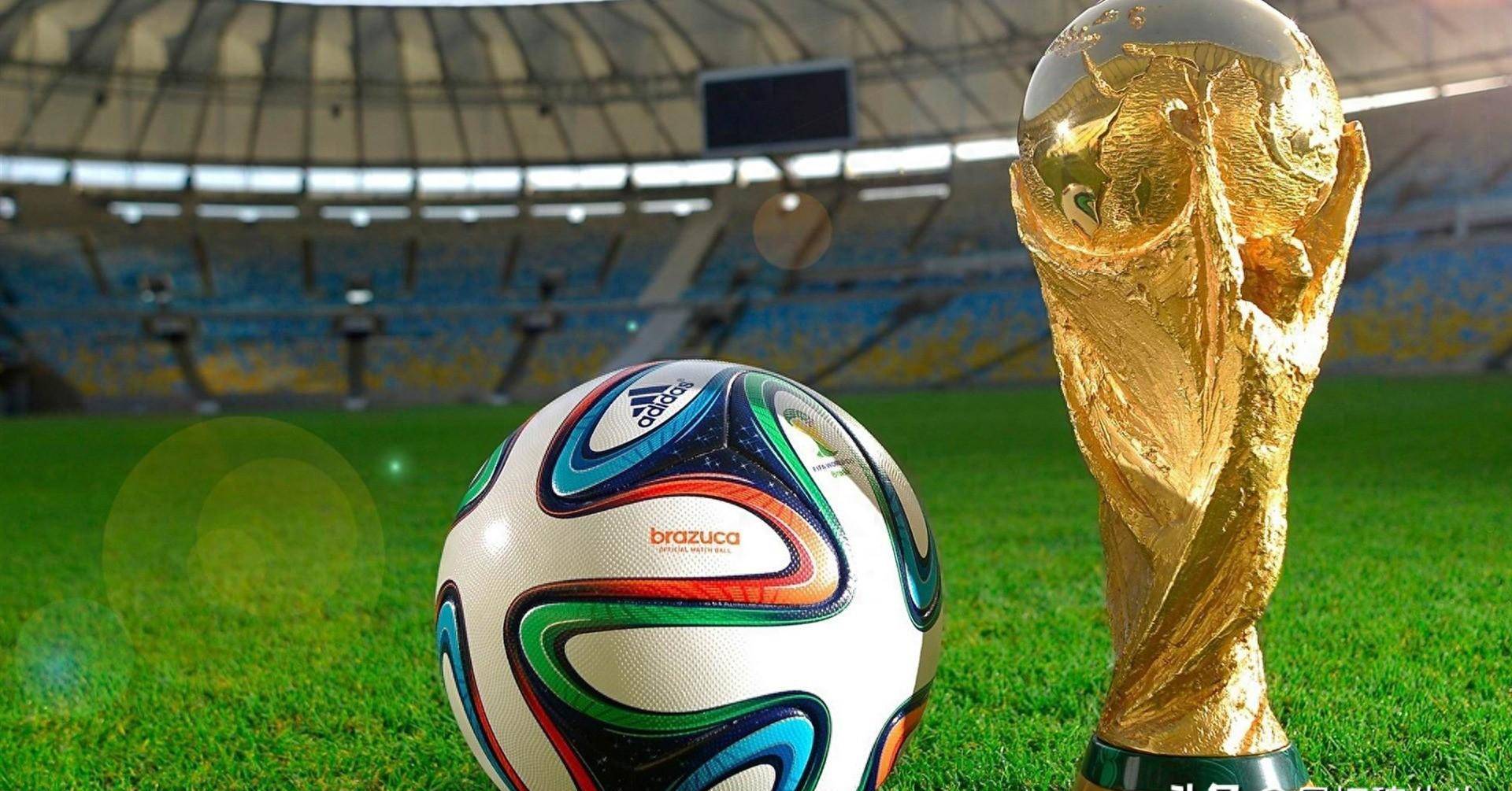 迷和运动爱 迷和运动爱